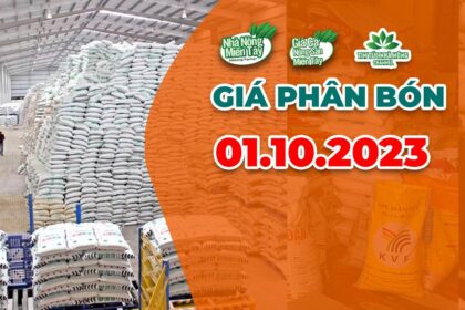 Vietnam fertilizer prices October 1, 2023