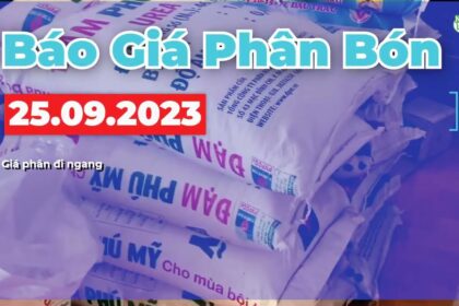 Vietnam fertilizer prices September 25, 2023
