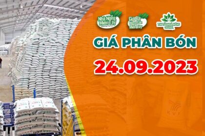 Vietnam fertilizer prices September 24, 2023