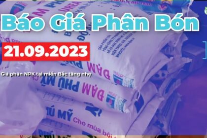 Vietnam fertilizer prices September 21, 2023