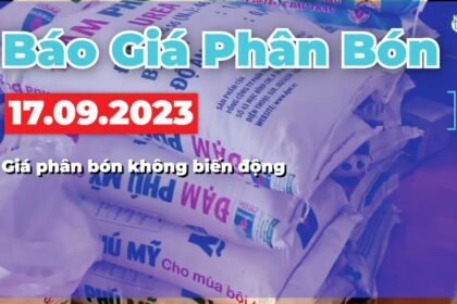 Vietnam fertilizer prices September 17, 2023