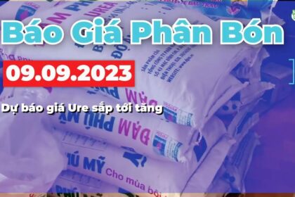 Vietnam fertilizer prices September 9, 2023