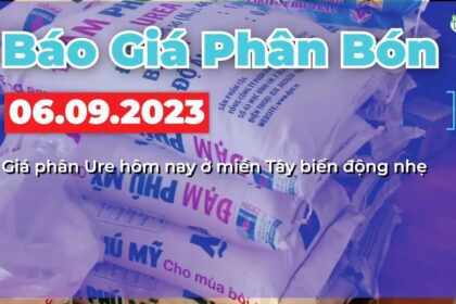 Vietnam fertilizer prices September 5, 2023