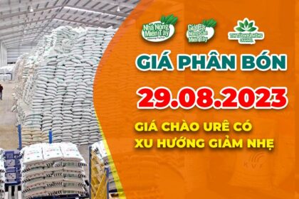 Vietnam fertilizer prices August 29, 2023
