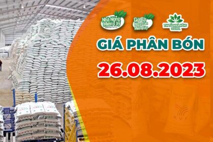 Vietnam fertilizer prices August 26, 2023