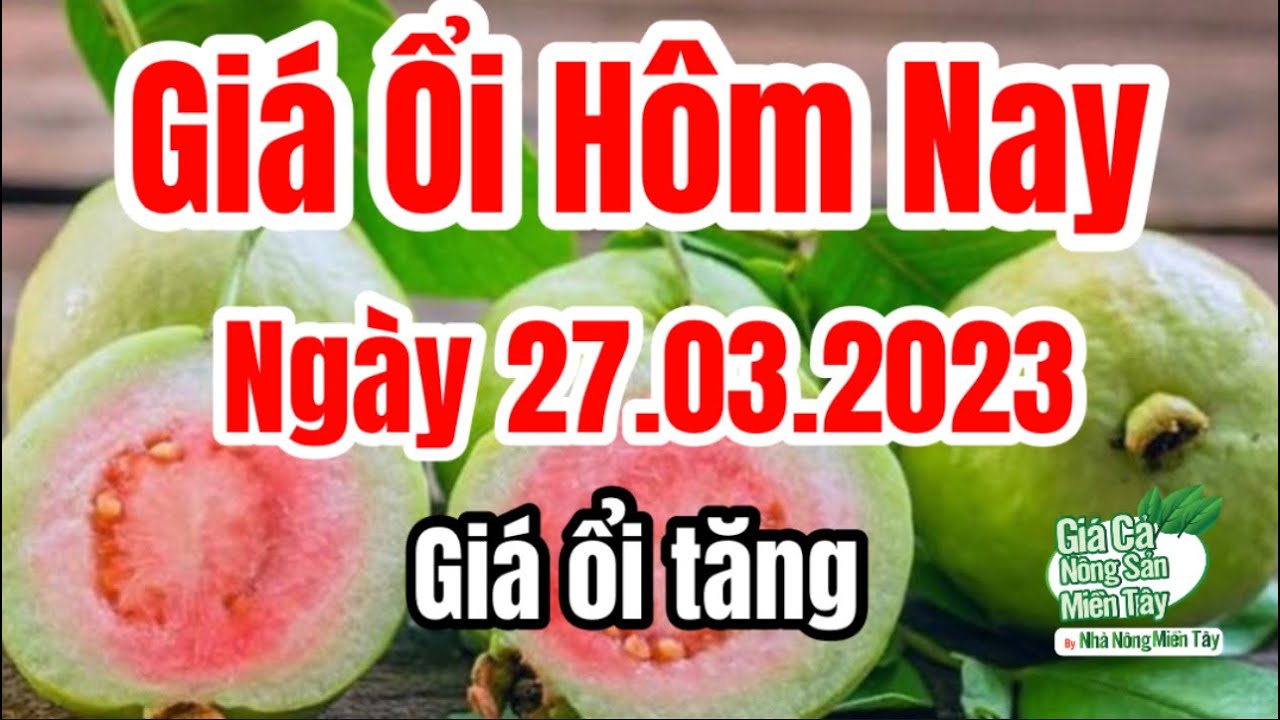 guava price March 27, 2023