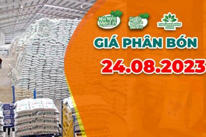 Vietnam fertilizer prices August 24, 2023