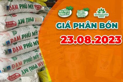 Vietnam fertilizer prices August 23, 2023
