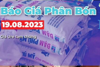 Vietnam fertilizer prices August 19, 2023