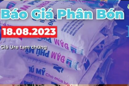 Vietnam fertilizer prices August 18, 2023