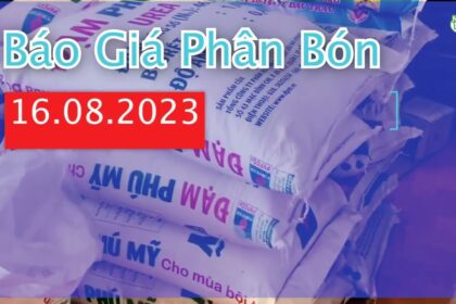 Vietnam fertilizer prices August 16, 2023