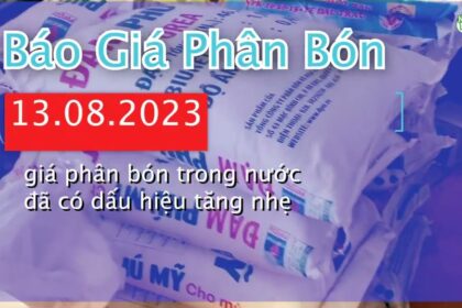Vietnam fertilizer prices August 13, 2023