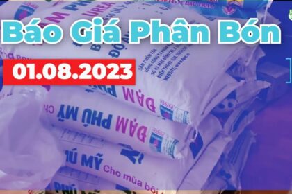 Vietnam fertilizer prices August 1, 2023
