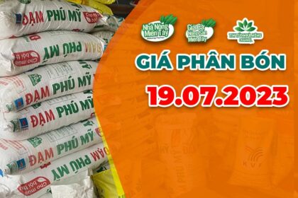 Vietnam fertilizer prices July 19, 2023
