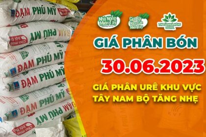 Vietnam fertilizer prices June 30, 2023