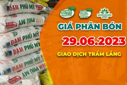 Vietnam fertilizer prices June 29, 2023