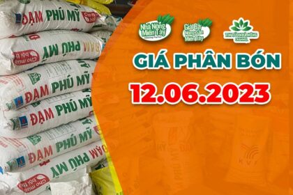 Vietnam fertilizer prices June 12, 2023