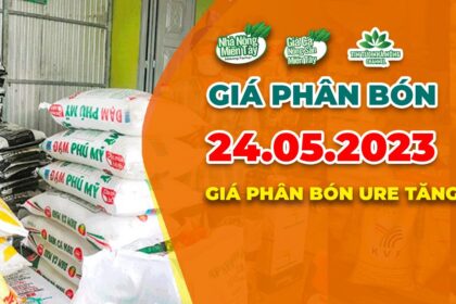 Vietnam fertilizer prices May 24, 2023
