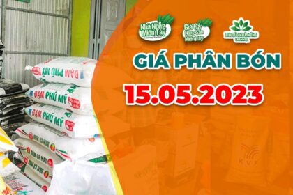 Vietnam fertilizer prices May 15, 2023