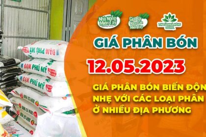 Vietnam fertilizer prices May 12, 2023