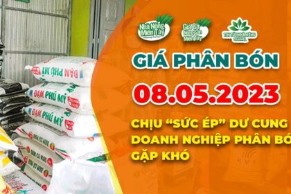 Vietnam fertilizer prices May 8, 2023