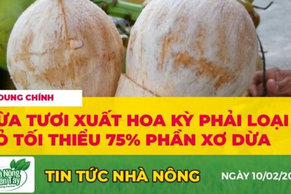 Vietnamese agriculture news