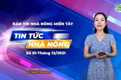 Rice news