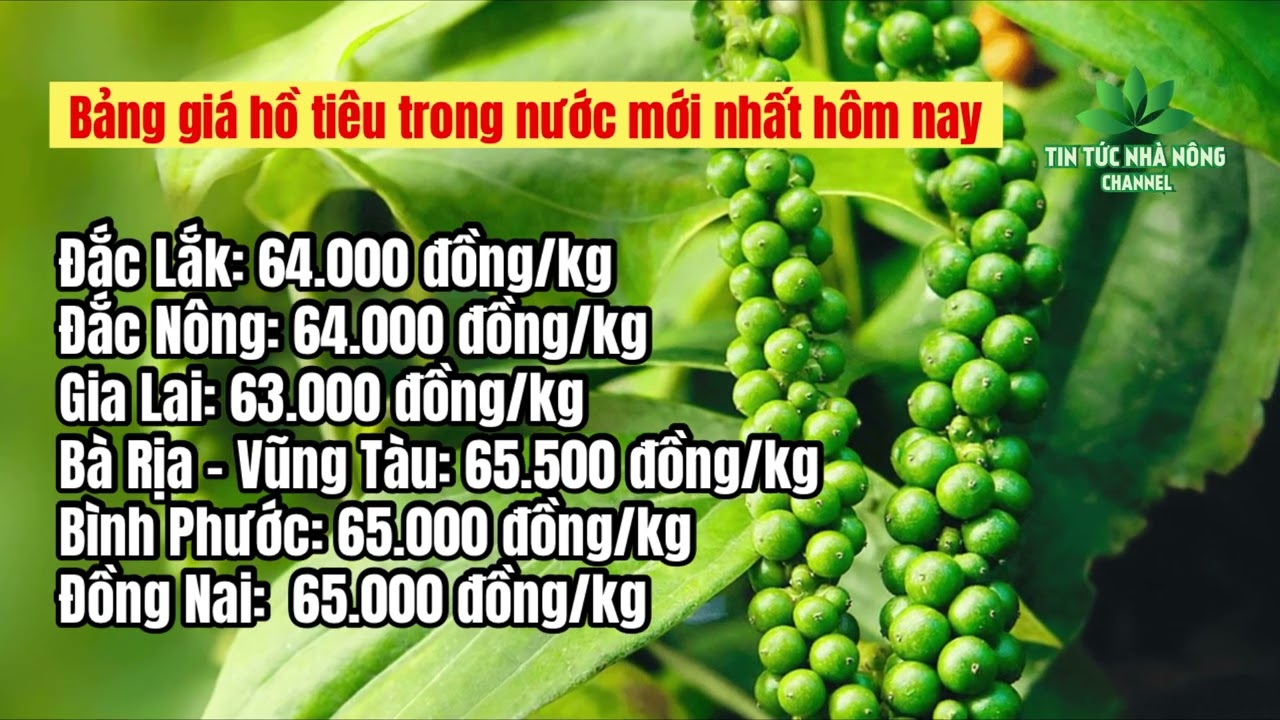 black pepper prices today