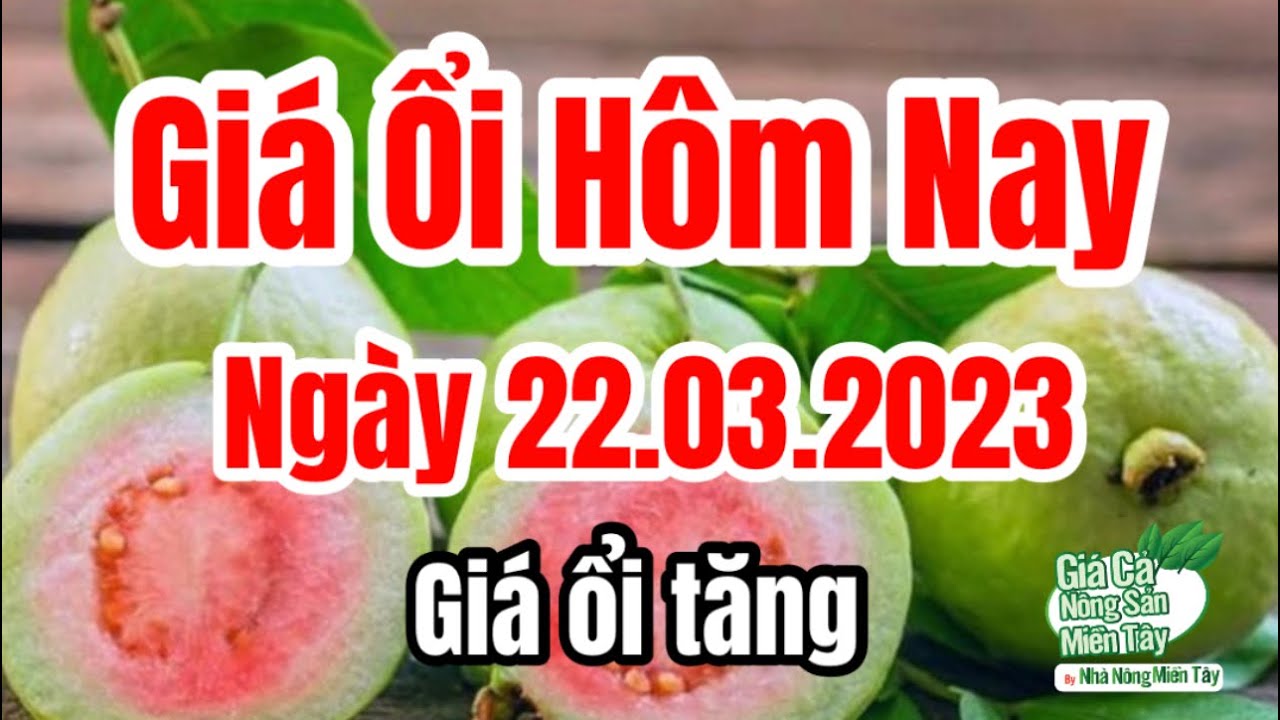 guava price March 22, 2023