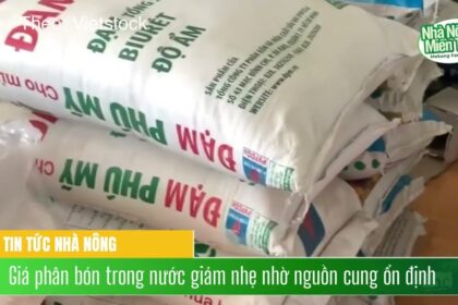 Fertilizer prices