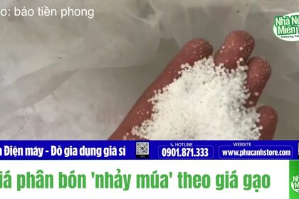Rice prices