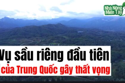 Durian news