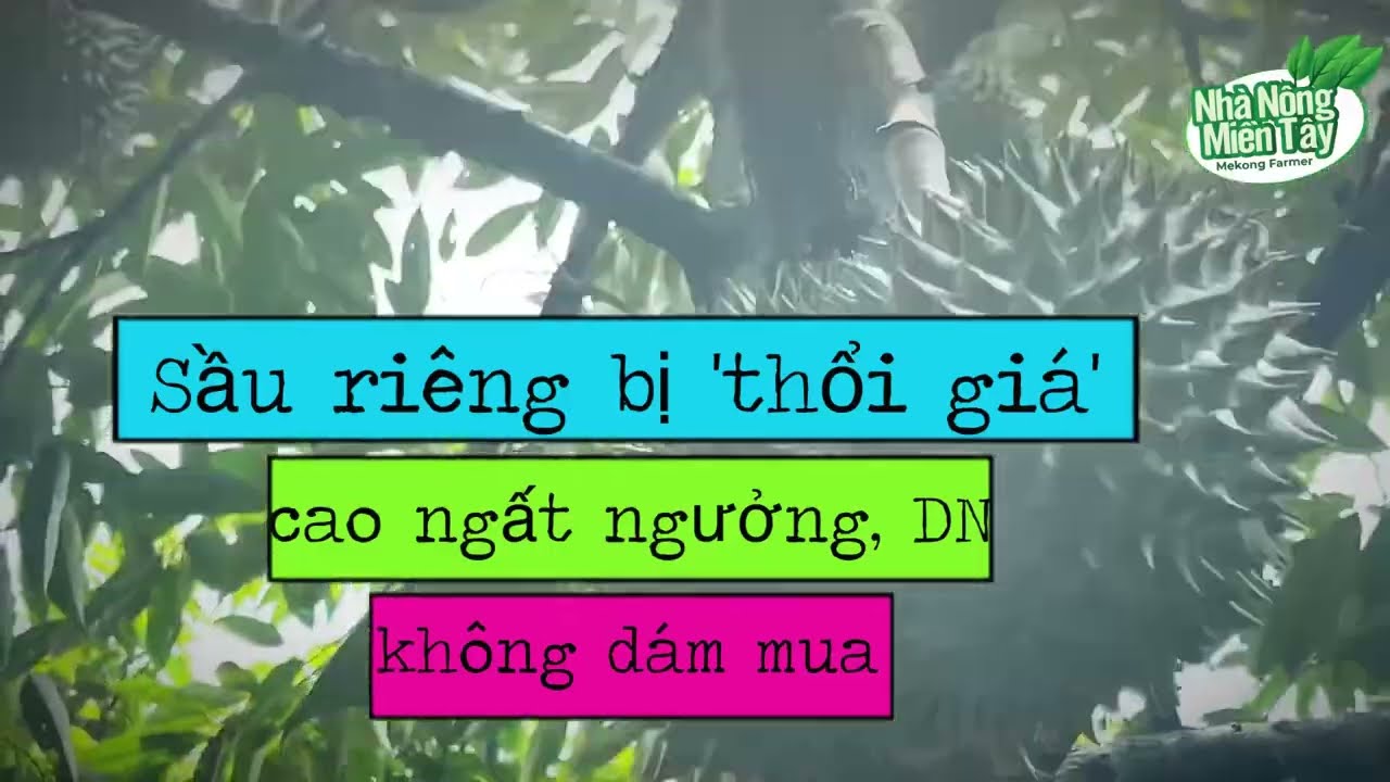 Durian prices