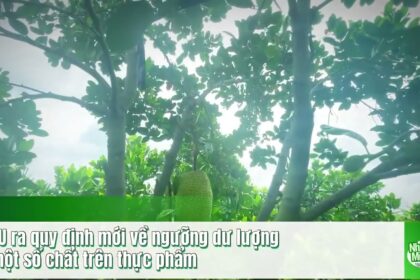 Vietnamese agriculture news