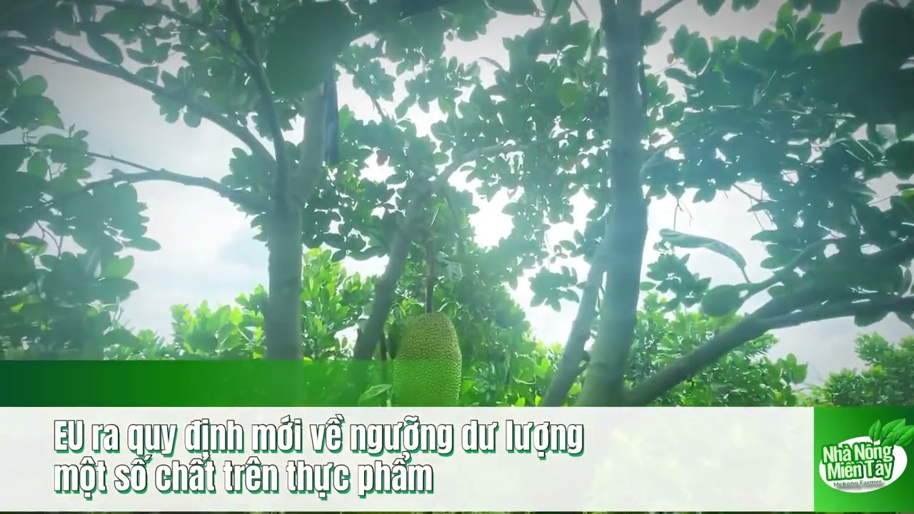 Vietnamese agriculture news