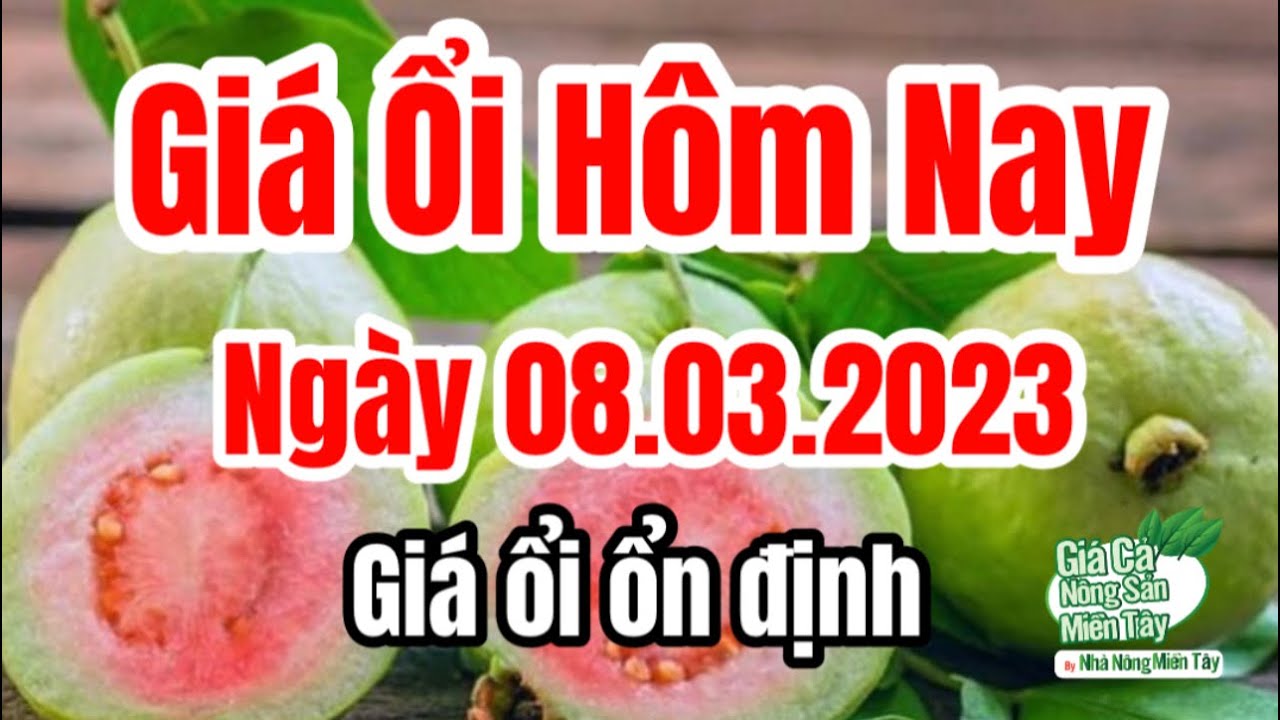 guava price March 8, 2023
