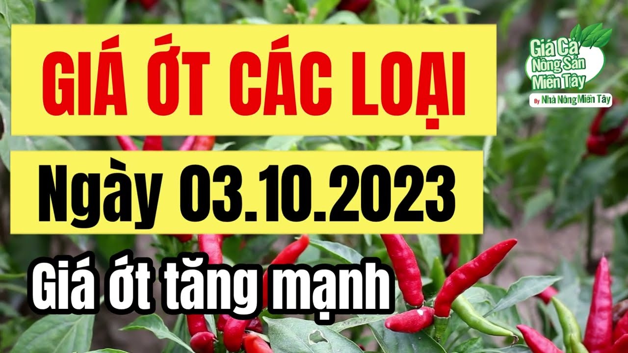 chili price October 3, 2023