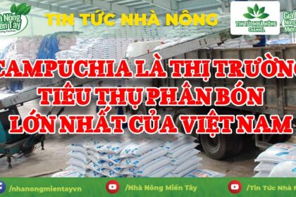 Fertilizer news