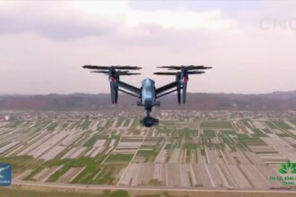 Agriculture 4.0 in China