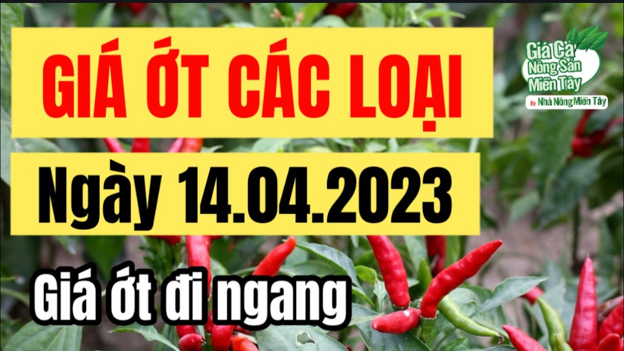chili prices April 14, 2023