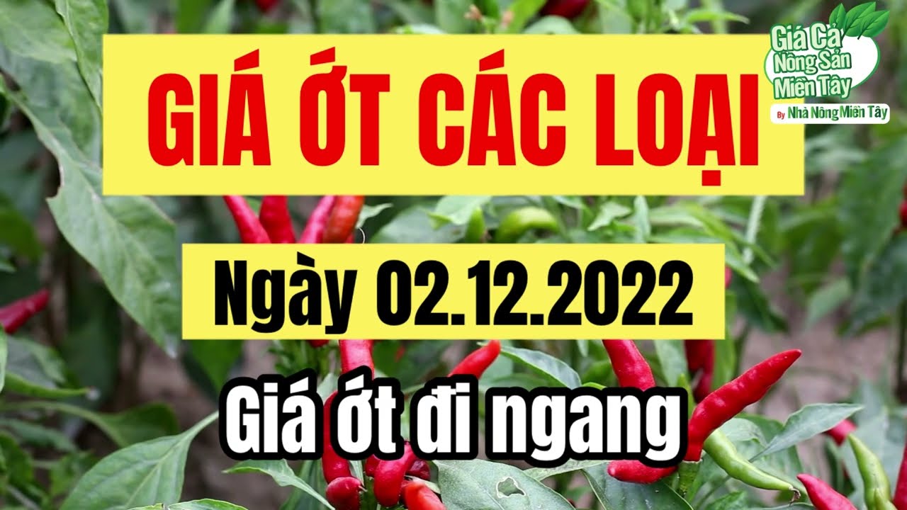 chili prices December 2, 2022