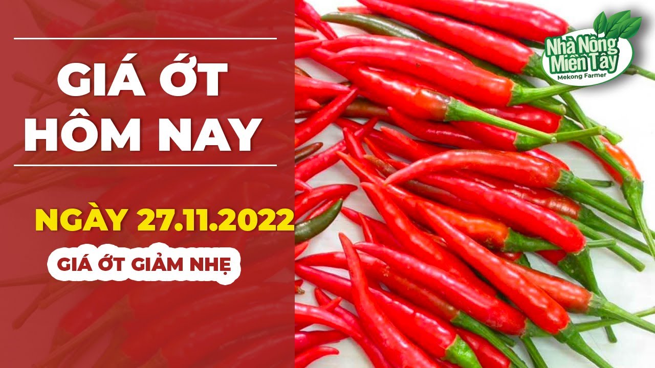 chili prices November 27, 2022