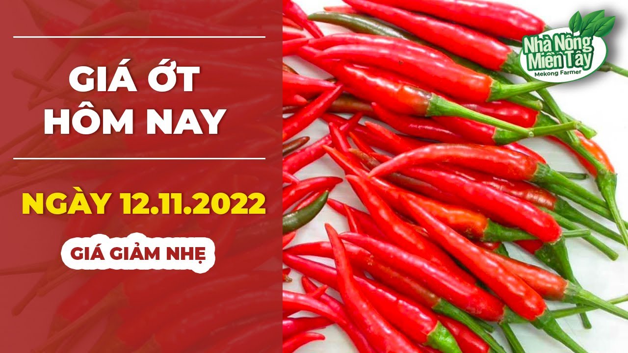 chili prices November 12, 2022