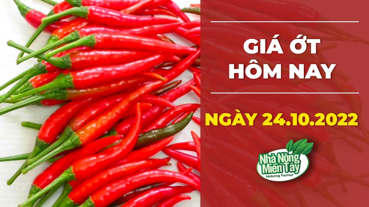 chili prices October 24, 2022