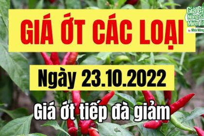 chili prices October 23, 2022