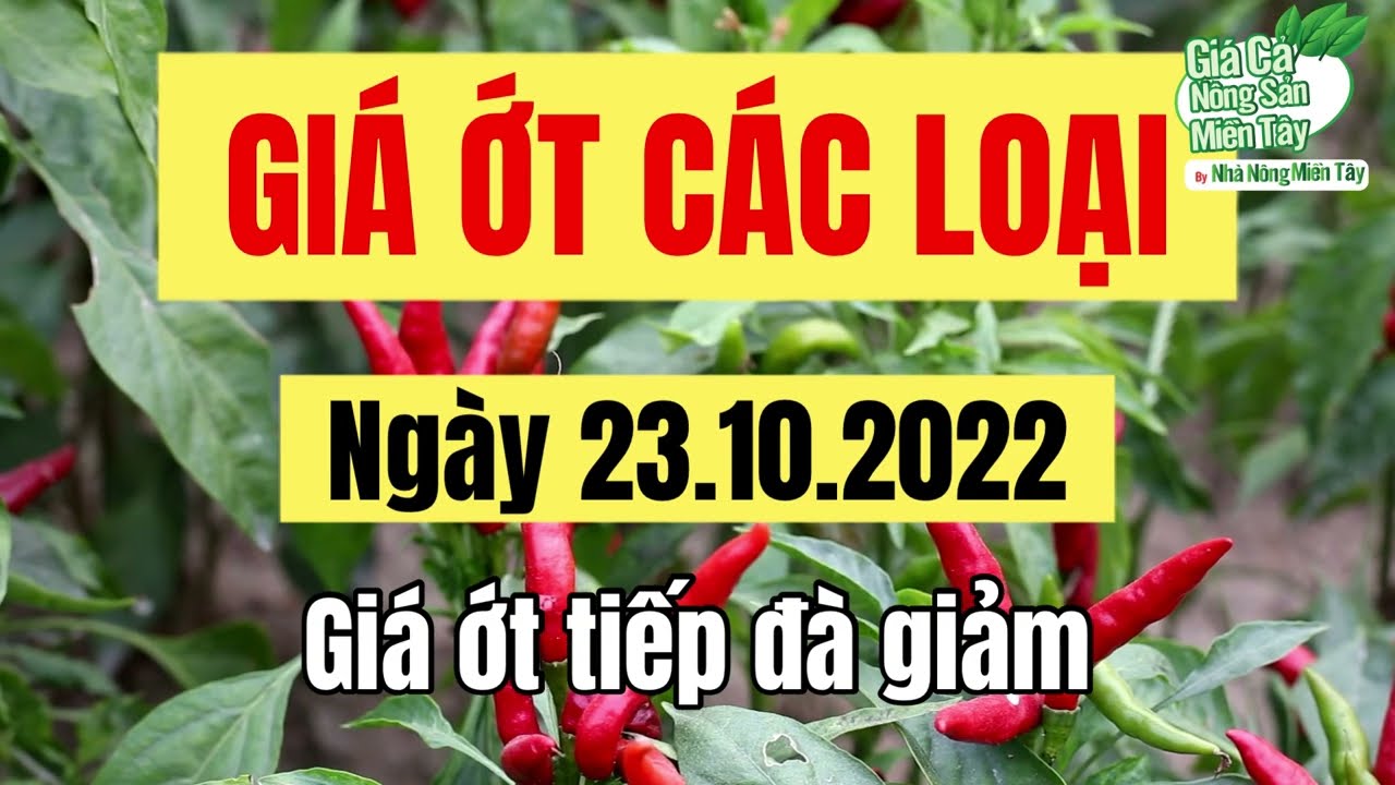 chili prices October 23, 2022