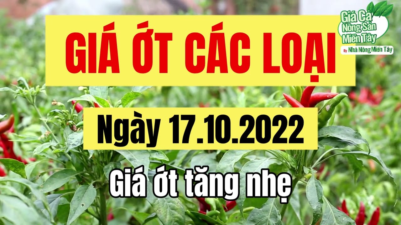 chili prices October 17, 2022