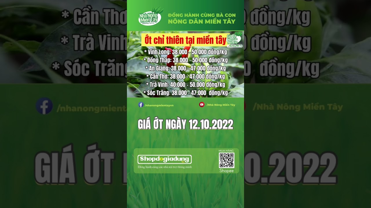 chili prices October 12, 2022