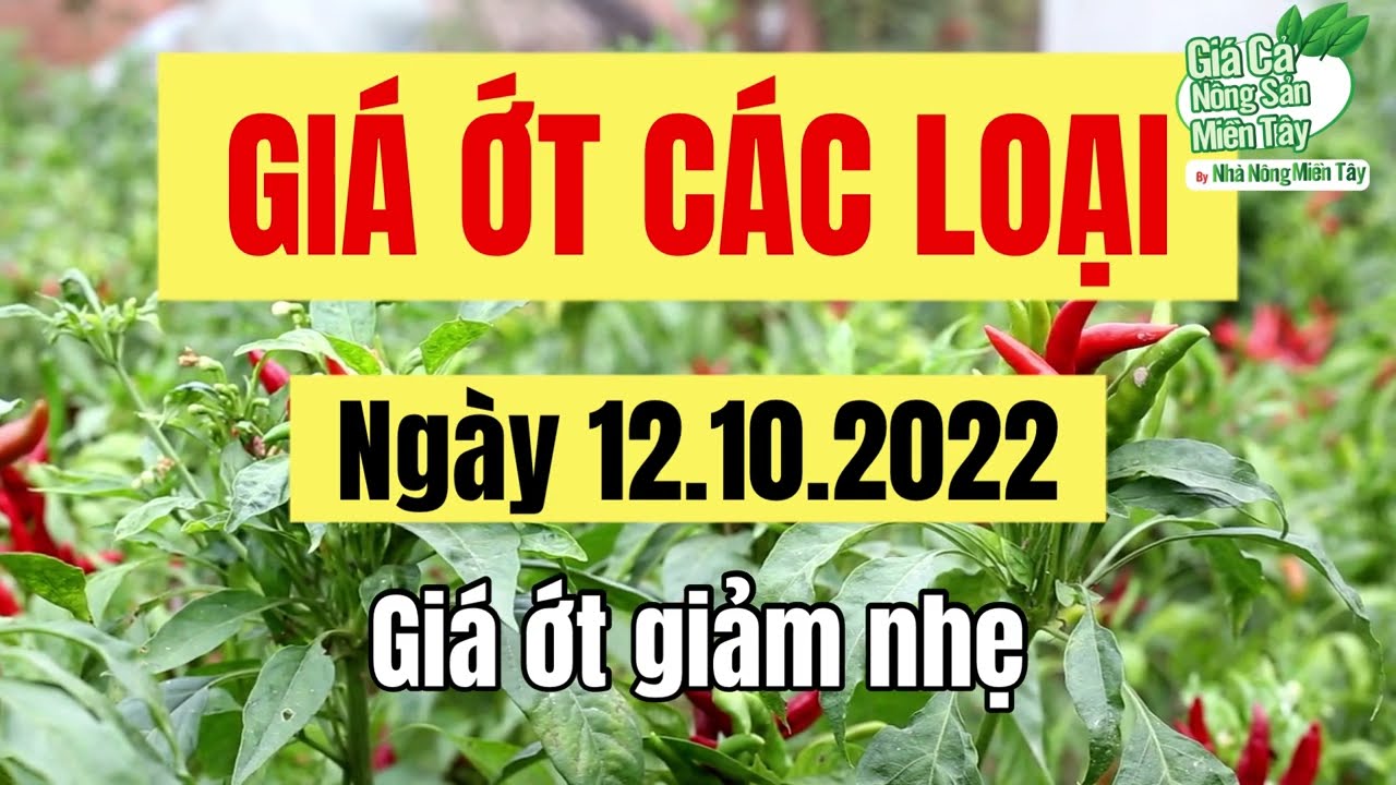 chili prices October 12, 2022