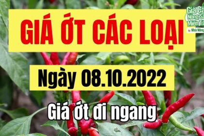 chili prices October 8, 2022